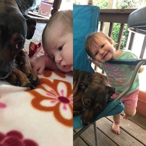 Meet your Posher, Mike